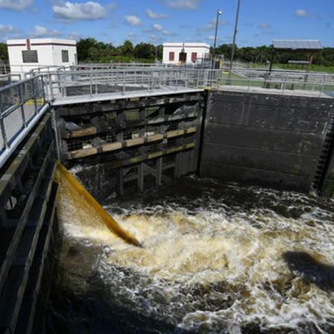 brown water coming out of Lake Okeechobee 